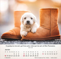 CALENDRIER EPT CHIENS