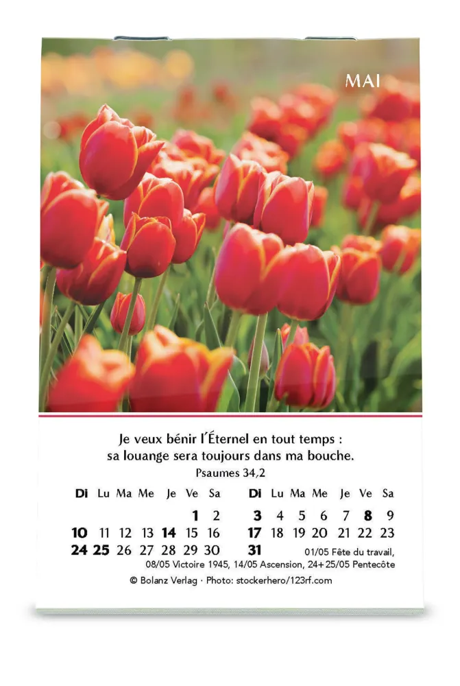 CALENDRIER CED MINI LOUANGES