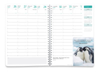 CALENDRIER CED AGENDA LIBERTE
