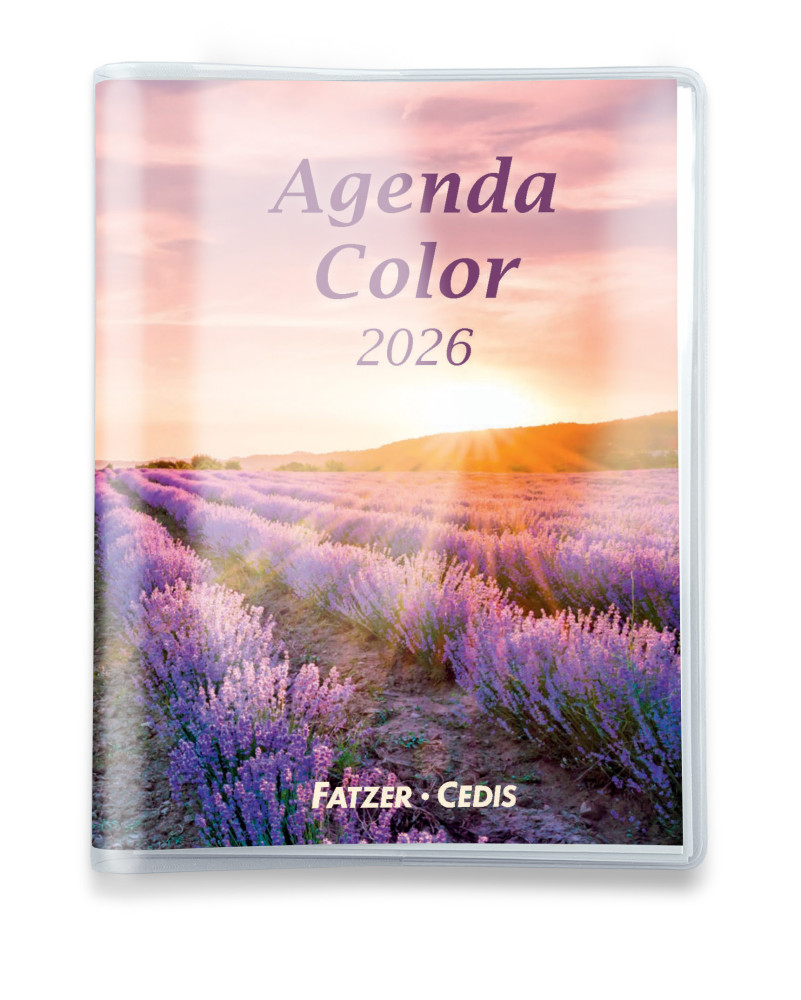 CALENDRIER CED AGENDA COLOR