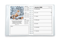 CALENDRIER CED AGENDA COLOR