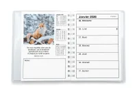 CALENDRIER CED AGENDA COLOR