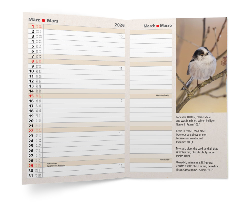 CALENDRIER CED AGENDA INTERNATIONAL 4 LANGUES