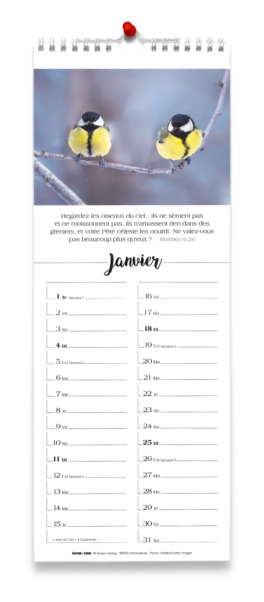 CALENDRIER CED CHAQUE JOUR