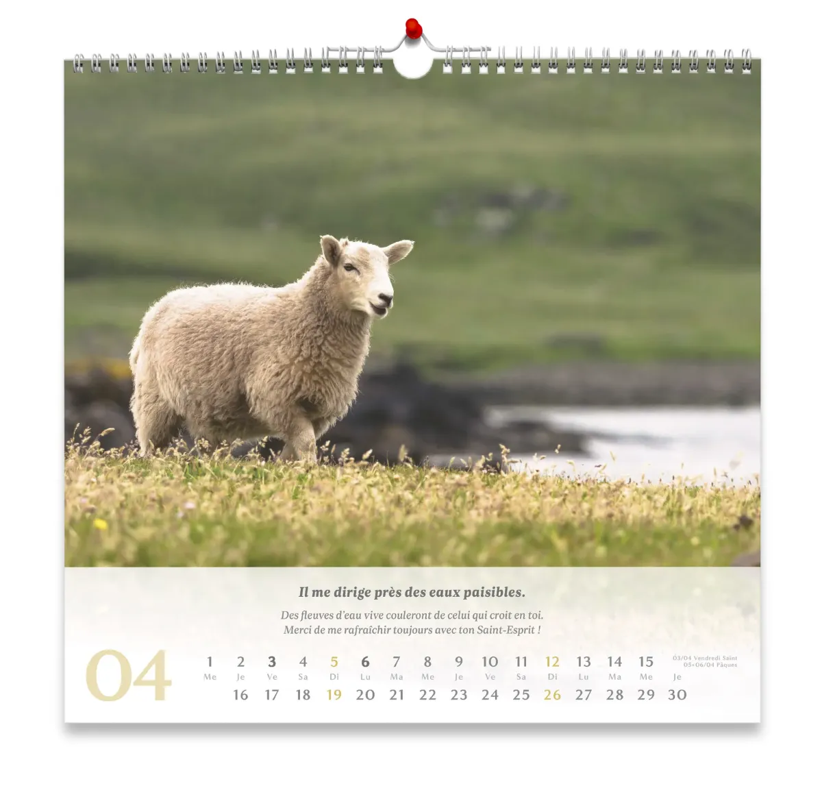 CALENDRIER CED PSAUMES 23 GRAND FORMAT
