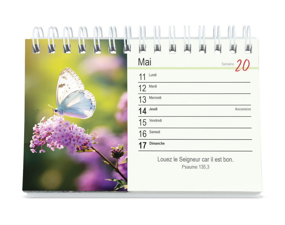 CALENDRIER CED TU M'ACCOMPAGNES