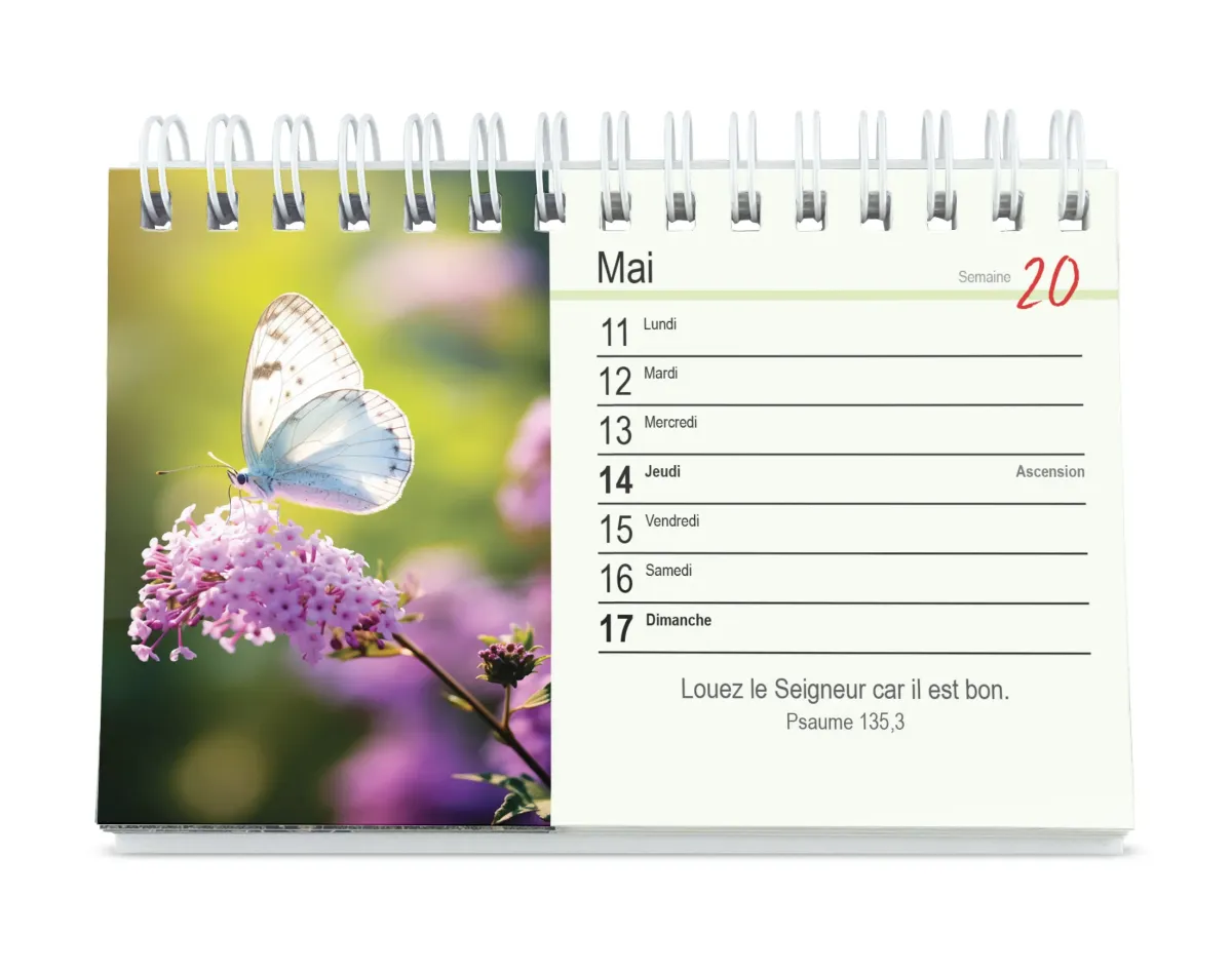 CALENDRIER CED TU M'ACCOMPAGNES