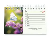 CALENDRIER CED TU M'ACCOMPAGNES