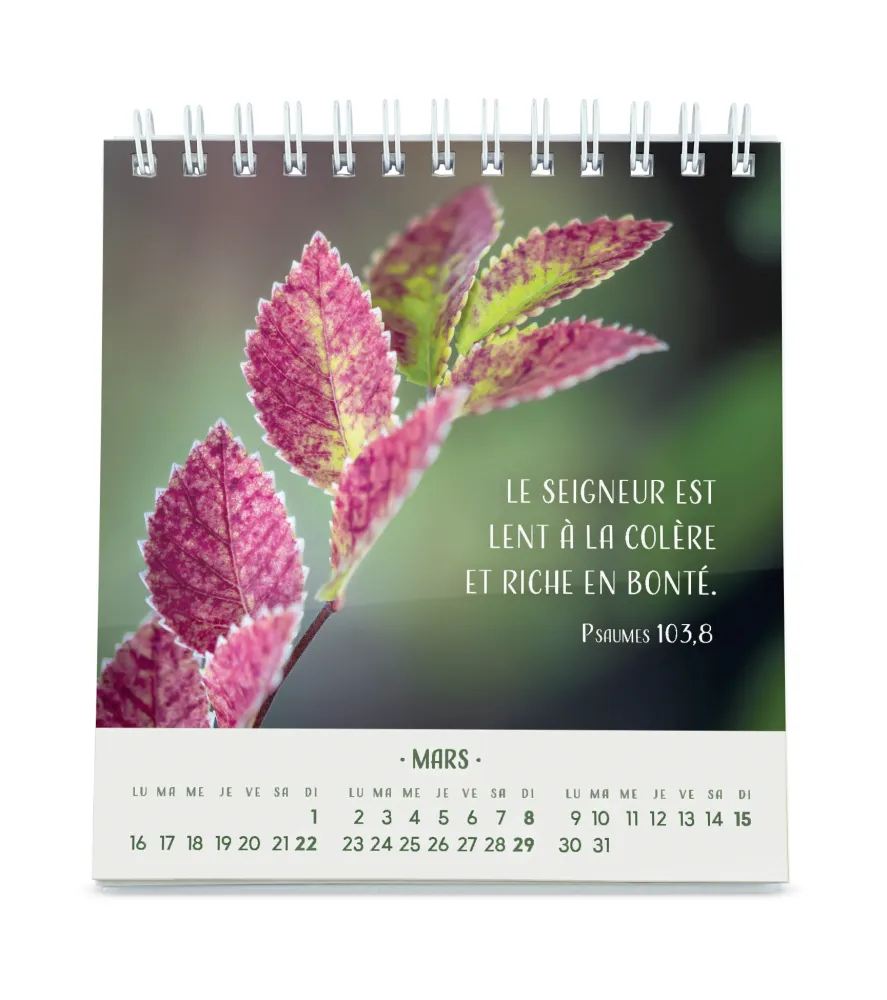 CALENDRIER CED PENSEES FLEURIES
