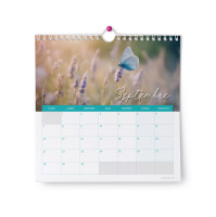 CALENDRIER CED MERVEILLES (SANS TEXTES)