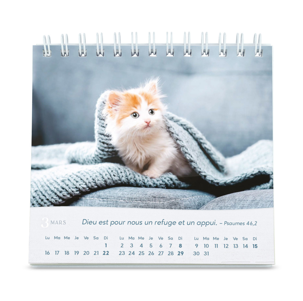 CALENDRIER GBK LES CHATS - A POSER
