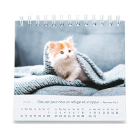 CALENDRIER GBK LES CHATS - A POSER