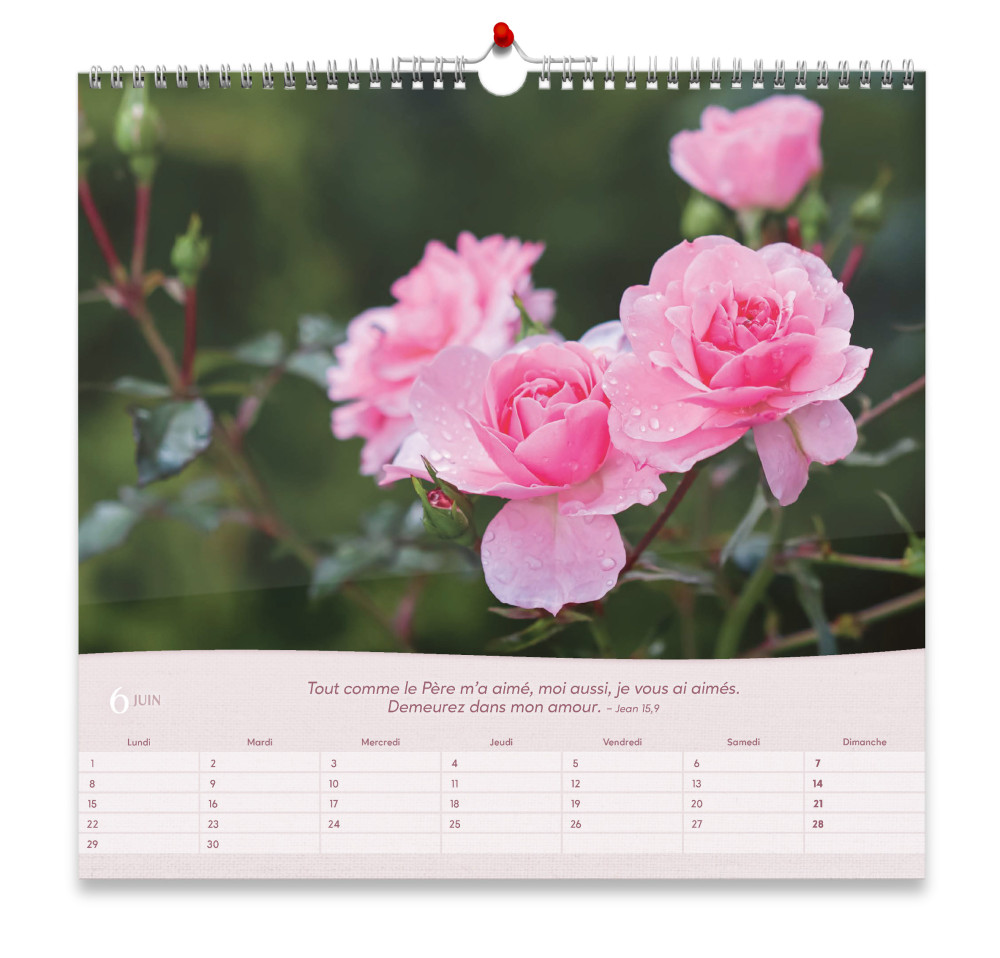 CALENDRIER GBK ROSES - MURAL