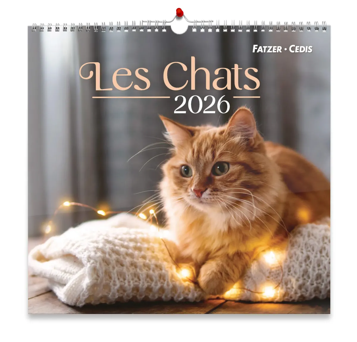 CALENDRIER GBK LES CHATS - MURAL