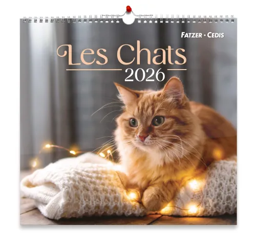 CALENDRIER GBK LES CHATS - MURAL