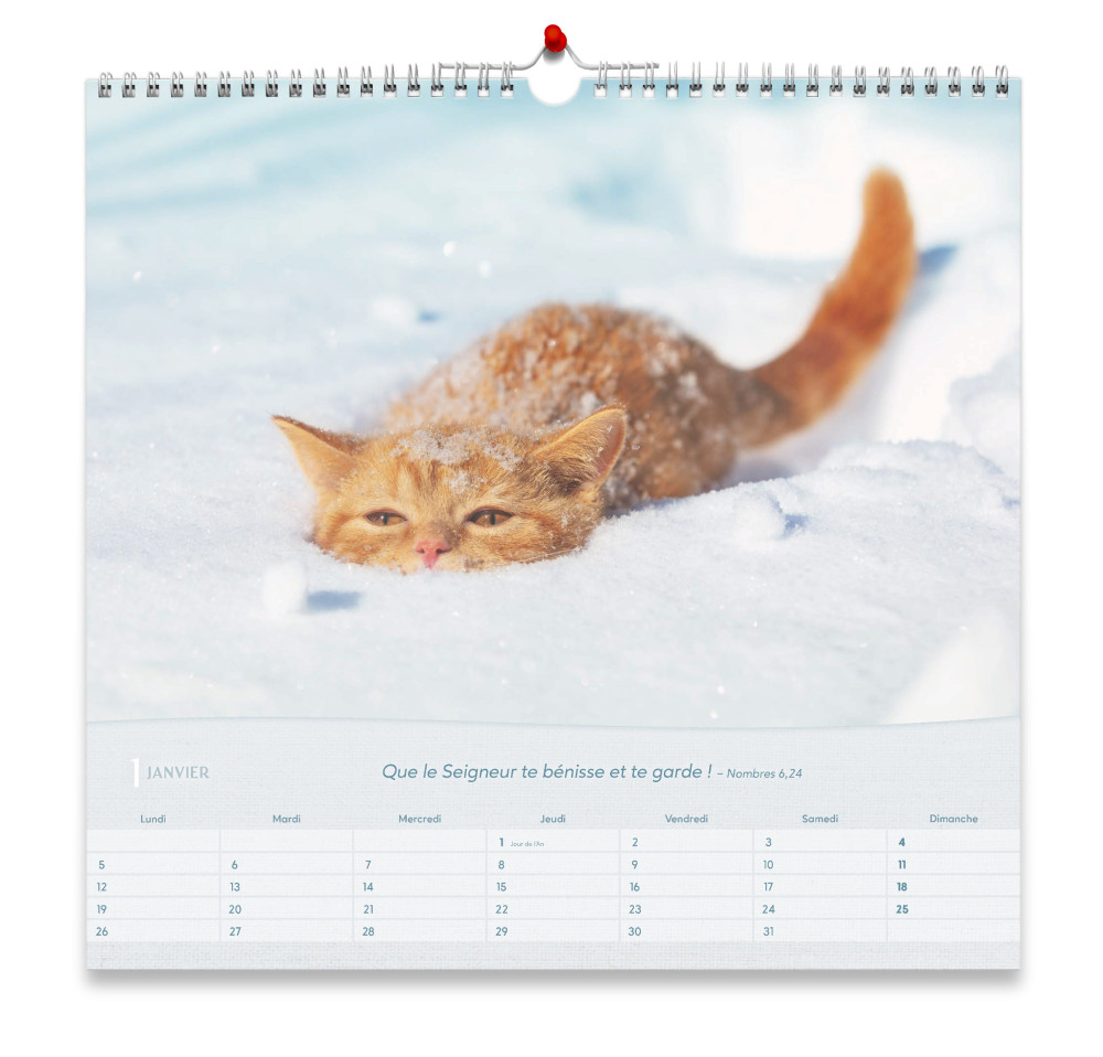CALENDRIER GBK LES CHATS - MURAL