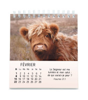 CALENDRIER CED MES PETITS AMIS AVEC TEXTES BIBLIQUES