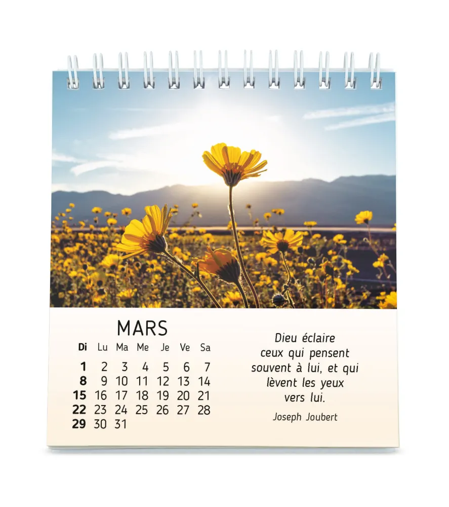 CALENDRIER CED AU COEUR DU JOUR