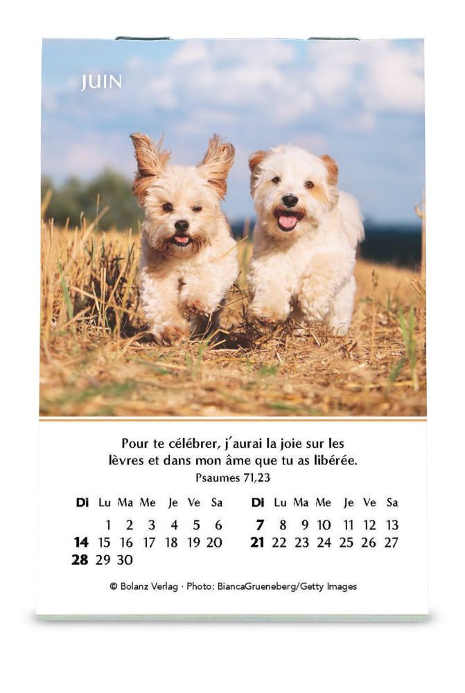 CALENDRIER CED MINI JOIE