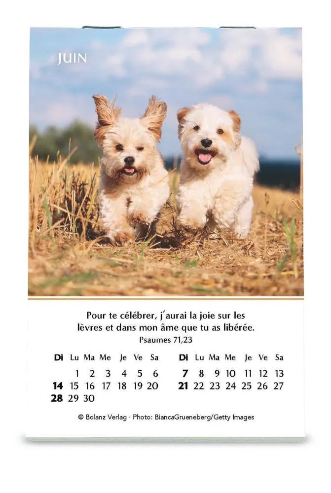 CALENDRIER CED MINI JOIE