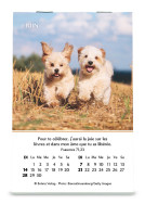 CALENDRIER CED MINI JOIE