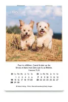 CALENDRIER CED MINI JOIE