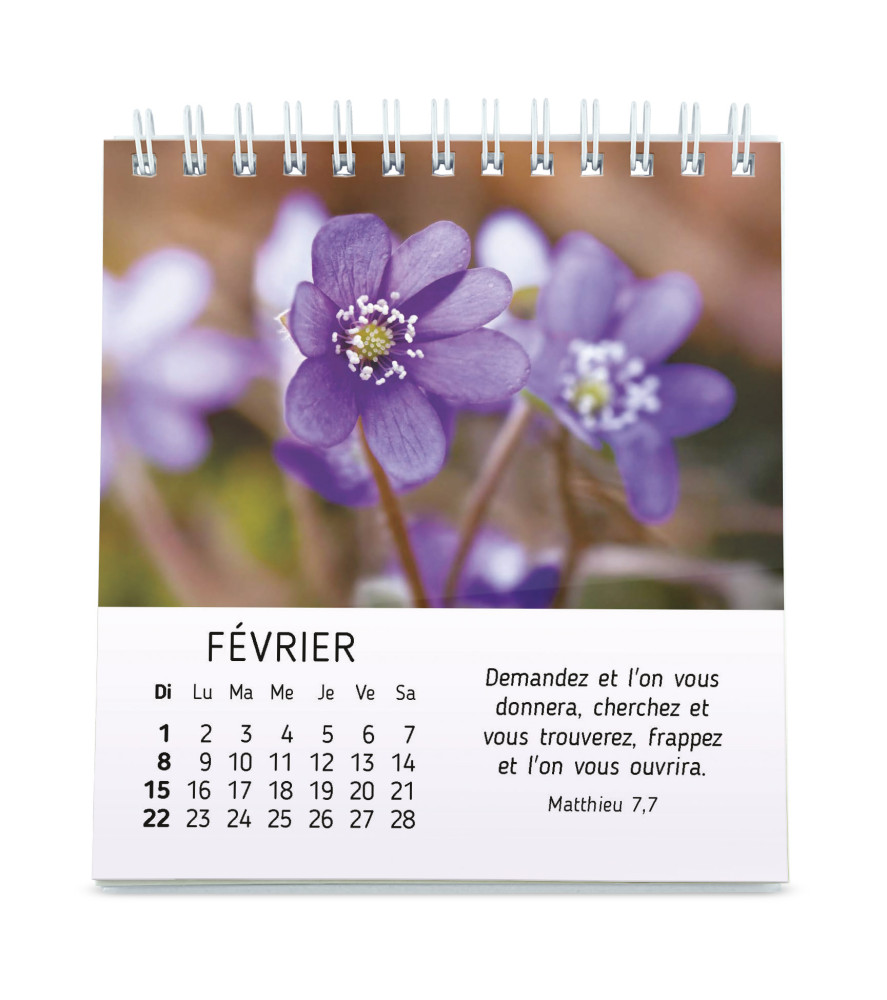 CALENDRIER CED FLORALIES