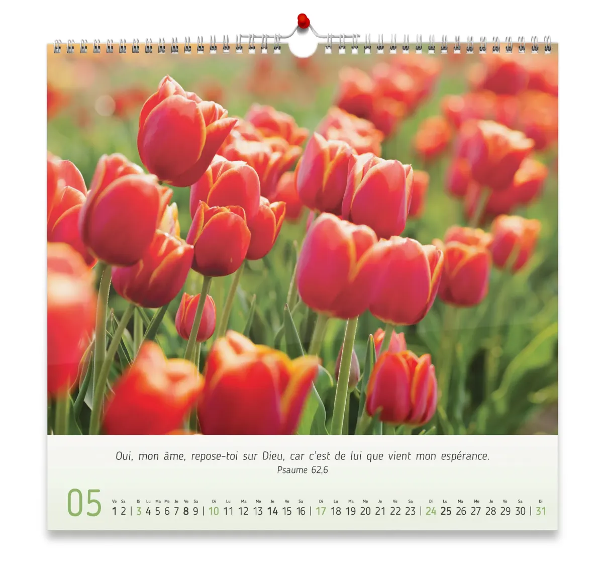 CALENDRIER CED FLOREUS