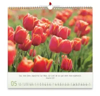 CALENDRIER CED FLOREUS