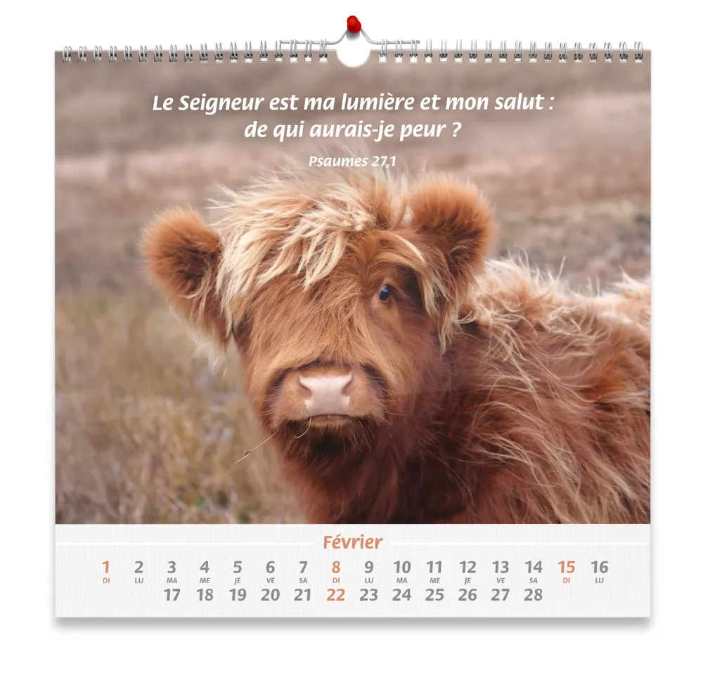 CALENDRIER CED NOS AMIS LES ANIMAUX