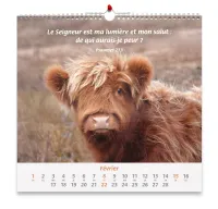 CALENDRIER CED NOS AMIS LES ANIMAUX