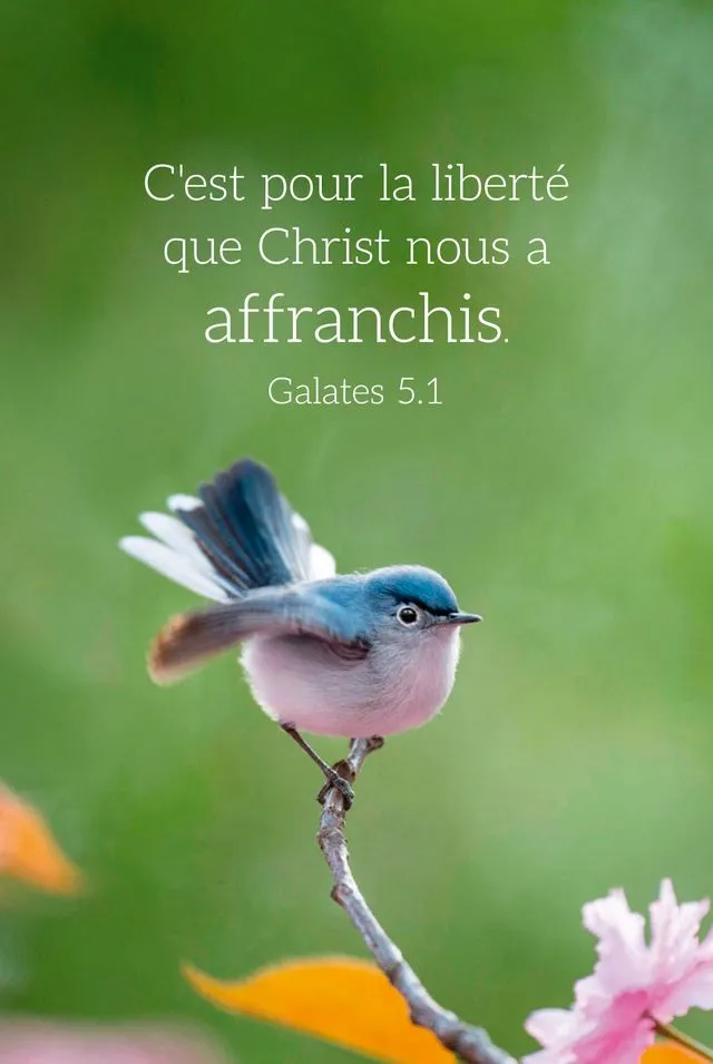 CALENDRIER EPT CARTE CALENDRIER OISEAU
