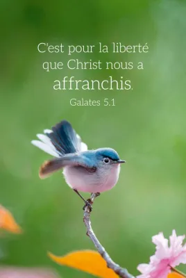 CALENDRIER EPT CARTE CALENDRIER OISEAU
