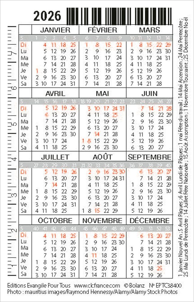 CALENDRIER EPT CARTE CALENDRIER OISEAU