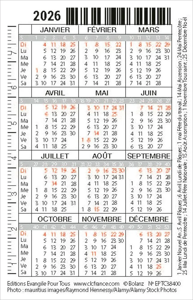 CALENDRIER EPT CARTE CALENDRIER OISEAU