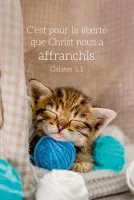 CALENDRIER EPT CARTE CALENDRIER CHAT