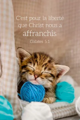 CALENDRIER EPT CARTE CALENDRIER CHAT