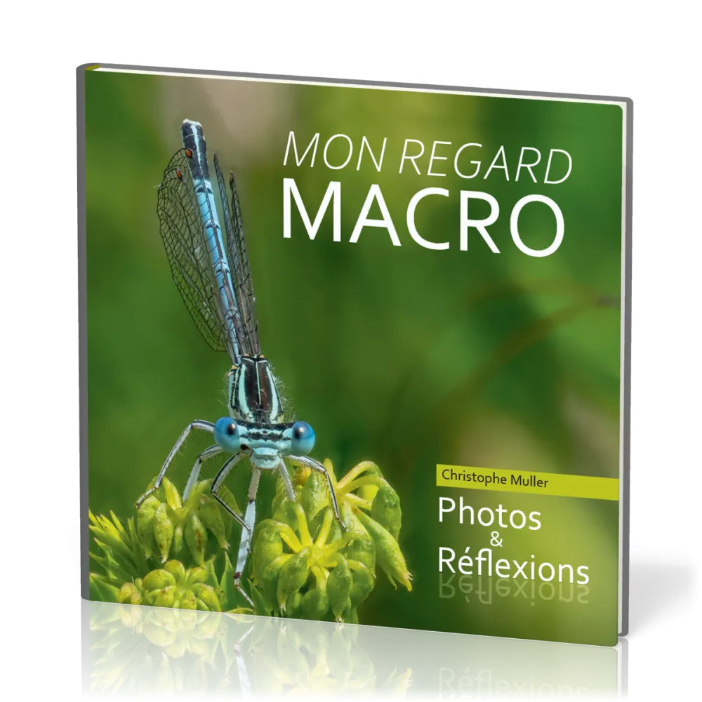MON REGARD MACRO - PHOTOS ET REFLEXIONS