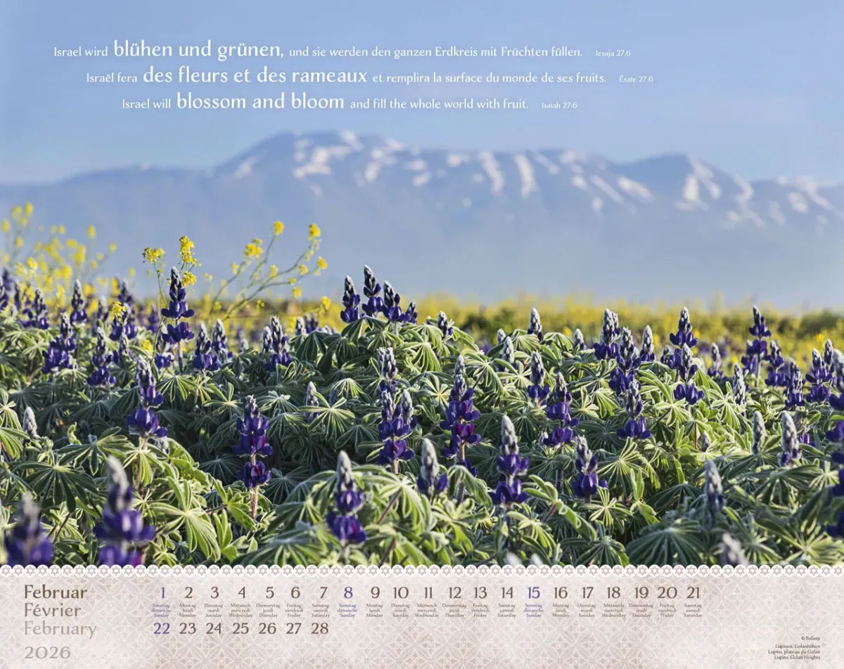 CALENDRIER EPT ISRAEL SHALOM - GRAND FORMAT
