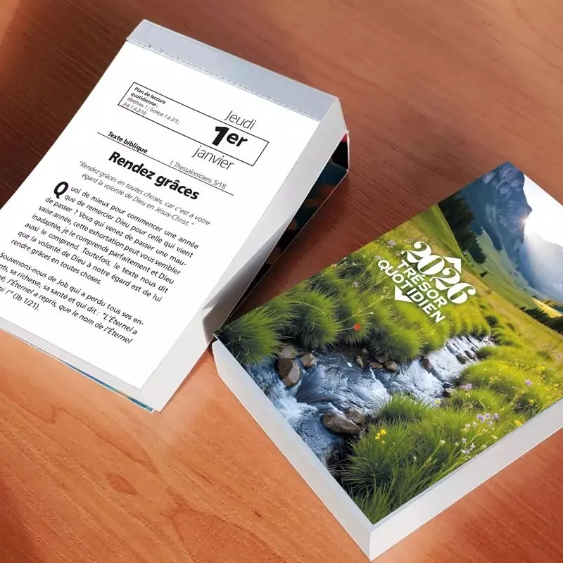 CALENDRIER VV TRESOR QUOTIDIEN - MURAL