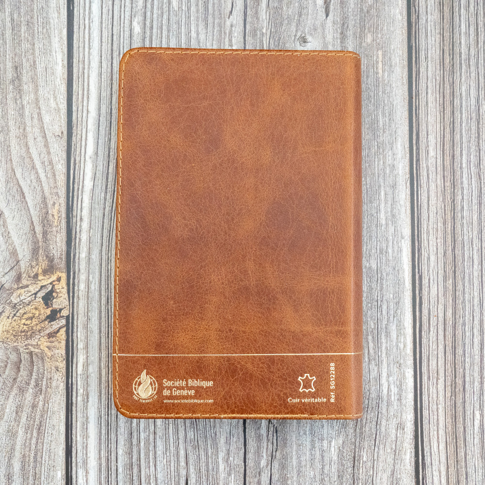 BIBLE SEGOND 21 COMPACTE "PREMIUM STYLE" SEMI-RIGIDE CUIR BRUN AVEC TRANCHES DOREES