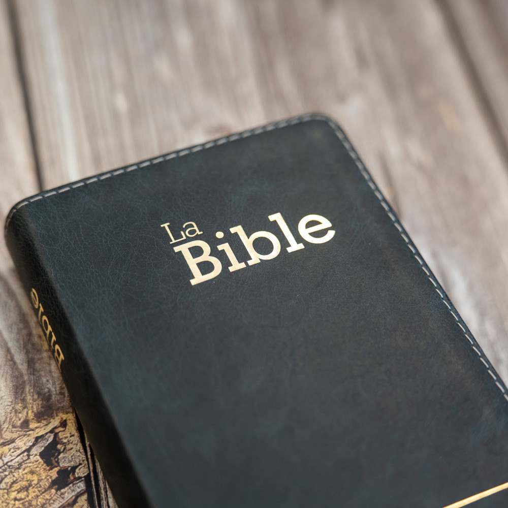 BIBLE SEGOND 21 COMPACTE "PREMIUM STYLE" SEMI-RIGIDE CUIR ANTHRACITE AVEC TRANCHES DOREES