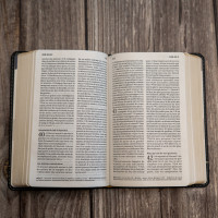 BIBLE SEGOND 21 COMPACTE "PREMIUM STYLE" SEMI-RIGIDE CUIR ANTHRACITE AVEC TRANCHES DOREES