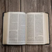 BIBLE SEGOND 21 COMPACTE "PREMIUM STYLE" SEMI-RIGIDE CUIR ANTHRACITE AVEC TRANCHES DOREES