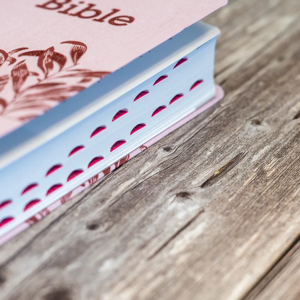 BIBLE SEGOND 21 COMPACTE "PREMIUM STYLE" SOUPLE TOILE ROSE AVEC ONGLETS