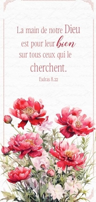 MARQUE-PAGE MAGNET LA MAIN DE NOTRE DIEU ESDRAS 8.22