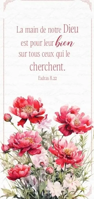 MARQUE-PAGE MAGNET LA MAIN DE NOTRE DIEU ESDRAS 8.22