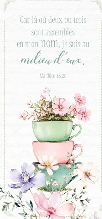 MARQUE-PAGE MAGNET CAR LA OU DEUX OU TROIS MATT 18.20