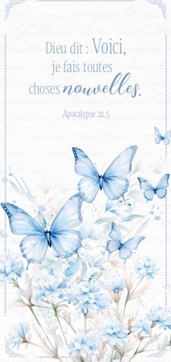 MARQUE-PAGE MAGNET VOICI JE FAIS TOUTES CHOSES APOC 21.5