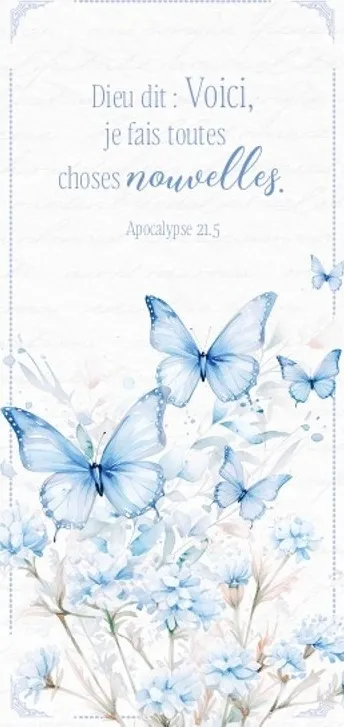 MARQUE-PAGE MAGNET VOICI JE FAIS TOUTES CHOSES APOC 21.5